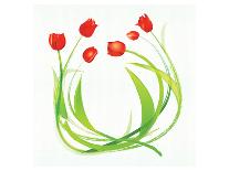 Vivacious Tulip Bloom-Miranda York-Stretched Canvas