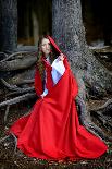 Beautiful Woman with Red Cloak on Blooming Rapeseed Field in Summer-mirceab-Photographic Print