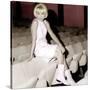 Mireille Darc-null-Stretched Canvas