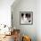 Mireille Darc-null-Framed Photo displayed on a wall