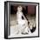 Mireille Darc-null-Framed Photo