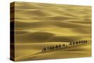 Stretched Canvas
