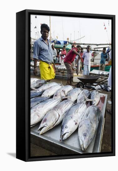 Mirisa, Southern Province, Sri Lanka, Asia-Christian Kober-Framed Stretched Canvas