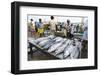 Mirisa, Southern Province, Sri Lanka, Asia-Christian Kober-Framed Photographic Print