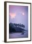 Mirissa Beach, Traditional Sri Lankan Outrigger Fishing Boat at Sunrise, South Coast-Matthew Williams-Ellis-Framed Photographic Print