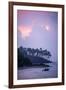 Mirissa Beach, Traditional Sri Lankan Outrigger Fishing Boat at Sunrise, South Coast-Matthew Williams-Ellis-Framed Photographic Print