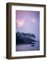 Mirissa Beach, Traditional Sri Lankan Outrigger Fishing Boat at Sunrise, South Coast-Matthew Williams-Ellis-Framed Photographic Print