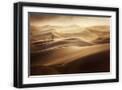 Black Frame