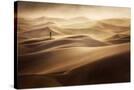 Stretched Canvas