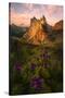 Stretched Canvas