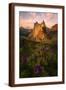 Brown Frame