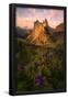 Essential Black