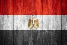 Flag Of Egypt-Miro Novak-Art Print
