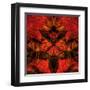 Mirror floral II-Jean-François Dupuis-Framed Art Print