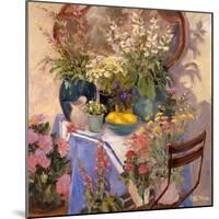Mirror Flowers-Allayn Stevens-Mounted Art Print