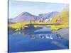 Mirror in the Cairngorms-William Ireland-Stretched Canvas