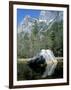 Mirror Lake and Half Dome, Yosemite National Park, Unesco World Heritage Site, USA-Roy Rainford-Framed Photographic Print