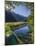 Mirror Lake, Fiordland National Park, Southland, South Island, New Zealand-Rainer Mirau-Mounted Photographic Print