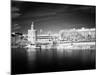 Mirror Landscape-Felipe Rodriguez-Mounted Photographic Print