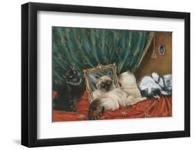 Mirror, Mirror on the Wall-Jeanette Trépanier-Framed Art Print