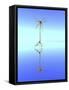 Mirror Neuron, Conceptual Image-PASIEKA-Framed Stretched Canvas