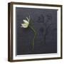 Mirror-Camille Soulayrol-Framed Giclee Print