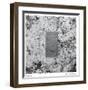 Mirror-Lynn Basa-Framed Limited Edition