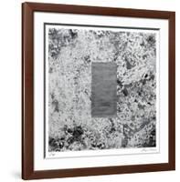 Mirror-Lynn Basa-Framed Limited Edition