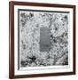 Mirror-Lynn Basa-Framed Limited Edition