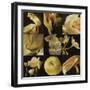 Mirrored Blossoms I-Douglas-Framed Giclee Print