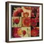 Mirrored Blossoms II-Douglas-Framed Giclee Print