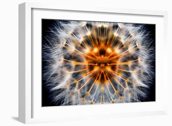 Mirrored Dandelion-Andy Bell-Framed Photographic Print