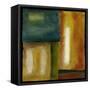 Mirrored Reflections III-Chariklia Zarris-Framed Stretched Canvas