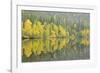 Mirrored Reflections-Staffan Widstrand-Framed Giclee Print