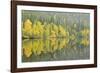 Mirrored Reflections-Staffan Widstrand-Framed Giclee Print