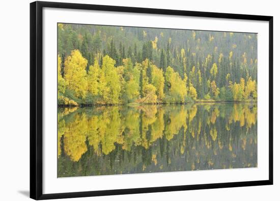 Mirrored Reflections-Staffan Widstrand-Framed Giclee Print