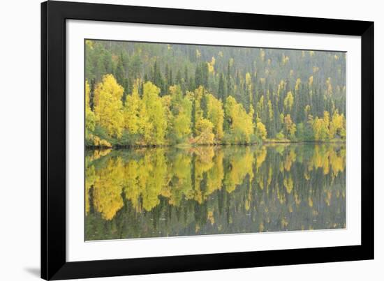 Mirrored Reflections-Staffan Widstrand-Framed Giclee Print