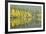 Mirrored Reflections-Staffan Widstrand-Framed Giclee Print