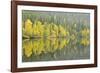 Mirrored Reflections-Staffan Widstrand-Framed Giclee Print