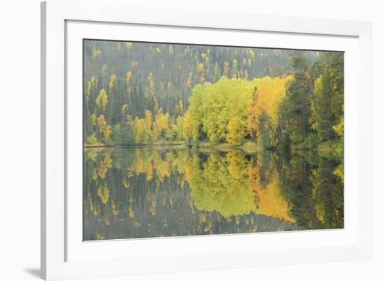 Mirrored Vista-Staffan Widstrand-Framed Giclee Print