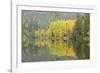 Mirrored Vista-Staffan Widstrand-Framed Giclee Print