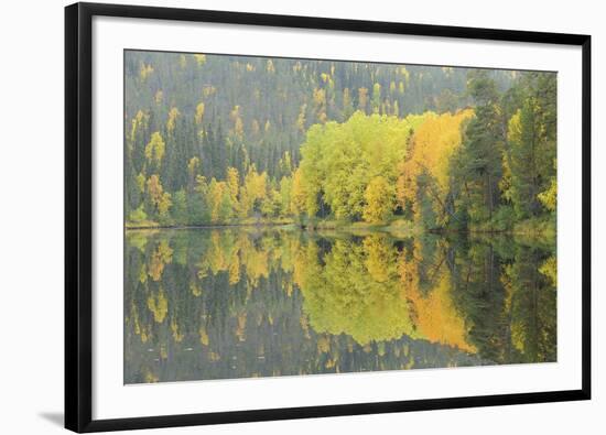 Mirrored Vista-Staffan Widstrand-Framed Giclee Print