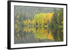 Mirrored Vista-Staffan Widstrand-Framed Giclee Print