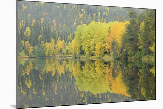 Mirrored Vista-Staffan Widstrand-Mounted Giclee Print