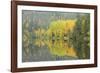 Mirrored Vista-Staffan Widstrand-Framed Giclee Print