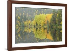 Mirrored Vista-Staffan Widstrand-Framed Giclee Print