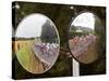 Mirrors at a T-Junction Reflect Riders During the 18th Stage of the Tour De France-null-Stretched Canvas