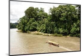 Misahualli in The Oriente, head of navigation on Rio Napo (Amazon), Ecuador, South America-Tony Waltham-Mounted Photographic Print
