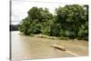 Misahualli in The Oriente, head of navigation on Rio Napo (Amazon), Ecuador, South America-Tony Waltham-Stretched Canvas