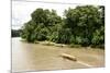 Misahualli in The Oriente, head of navigation on Rio Napo (Amazon), Ecuador, South America-Tony Waltham-Mounted Photographic Print